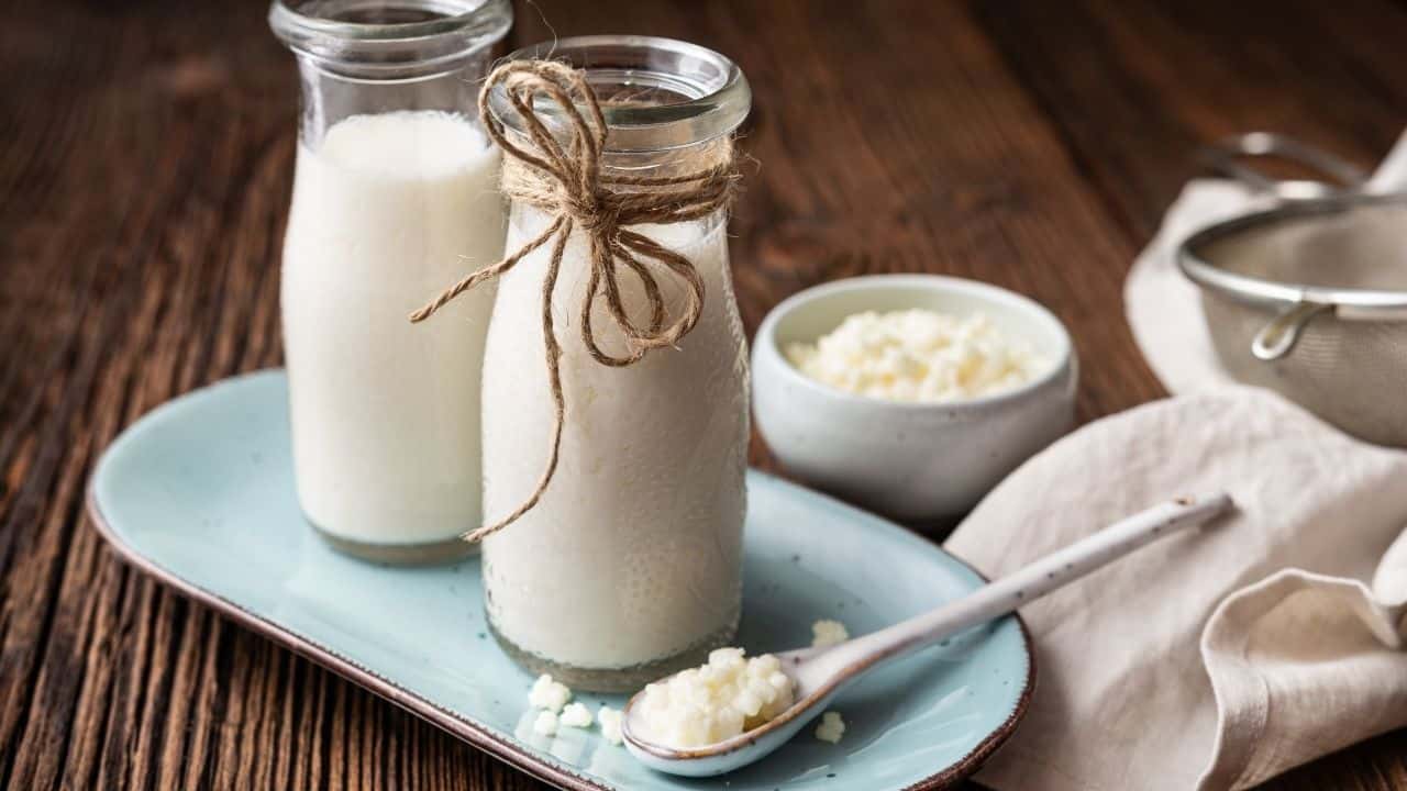 Kefir İle Zayıflamak Mümkün Mü? Kefirin Kilo Vermeye Etkisi?