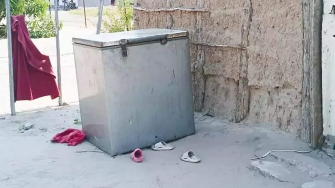 Namibya’da Derin Dondurucuda Mahsur Kalan 4 Çocuk Hayatını Kaybetti