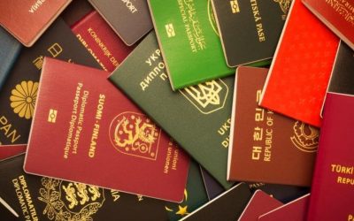 Pasaport Başvuru Sorgulama: İlgili Kurumlarla İletişim