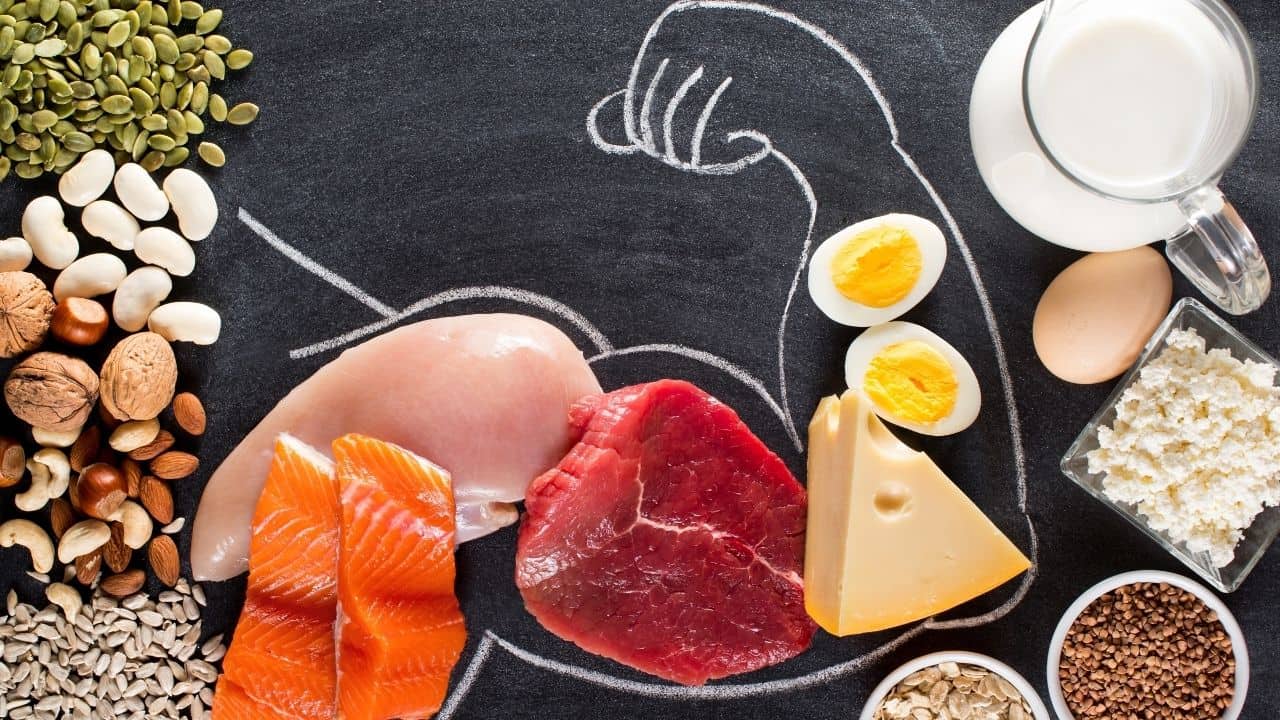 Protein İhtiyacını Karşılamak İçin Hangi Öğünleri Planlamalıyız?