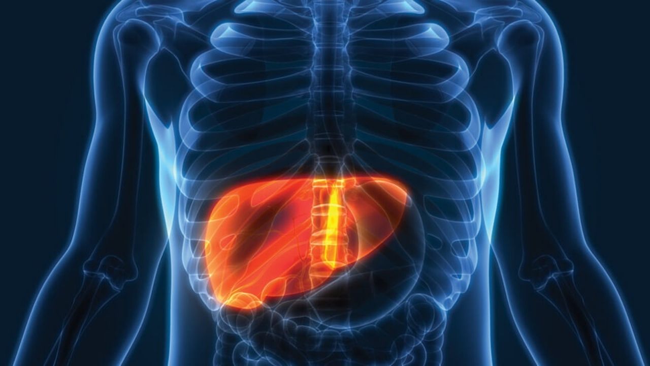 Alkol ve İç Organ Hasarları