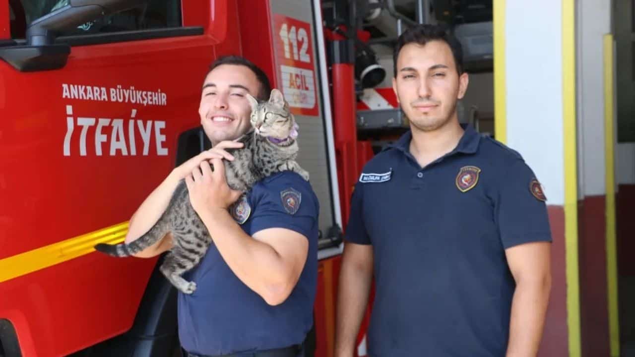 Ankara İtfaiyecisi, Depremden Kurtardığı Kediyle Yeni Bir Hayat Kurdu