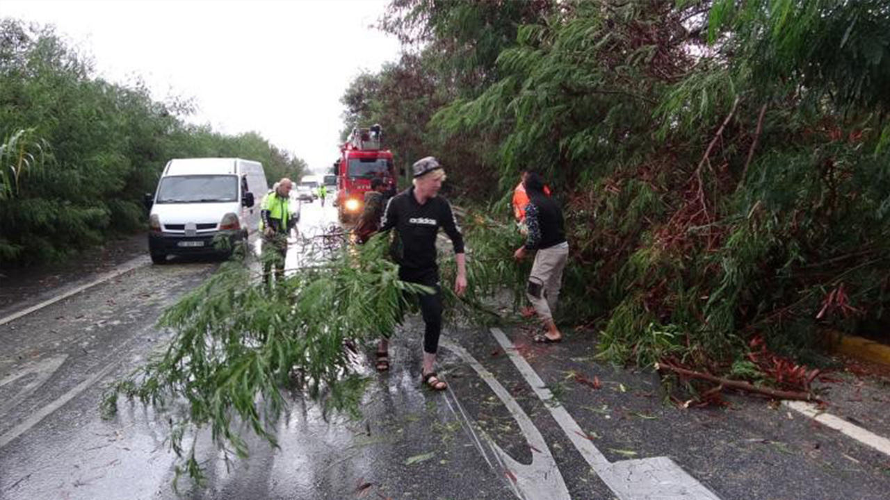 Antalya’da Fırtına Ağaçları Devirdi, Karayolunda Trafik Aksadı