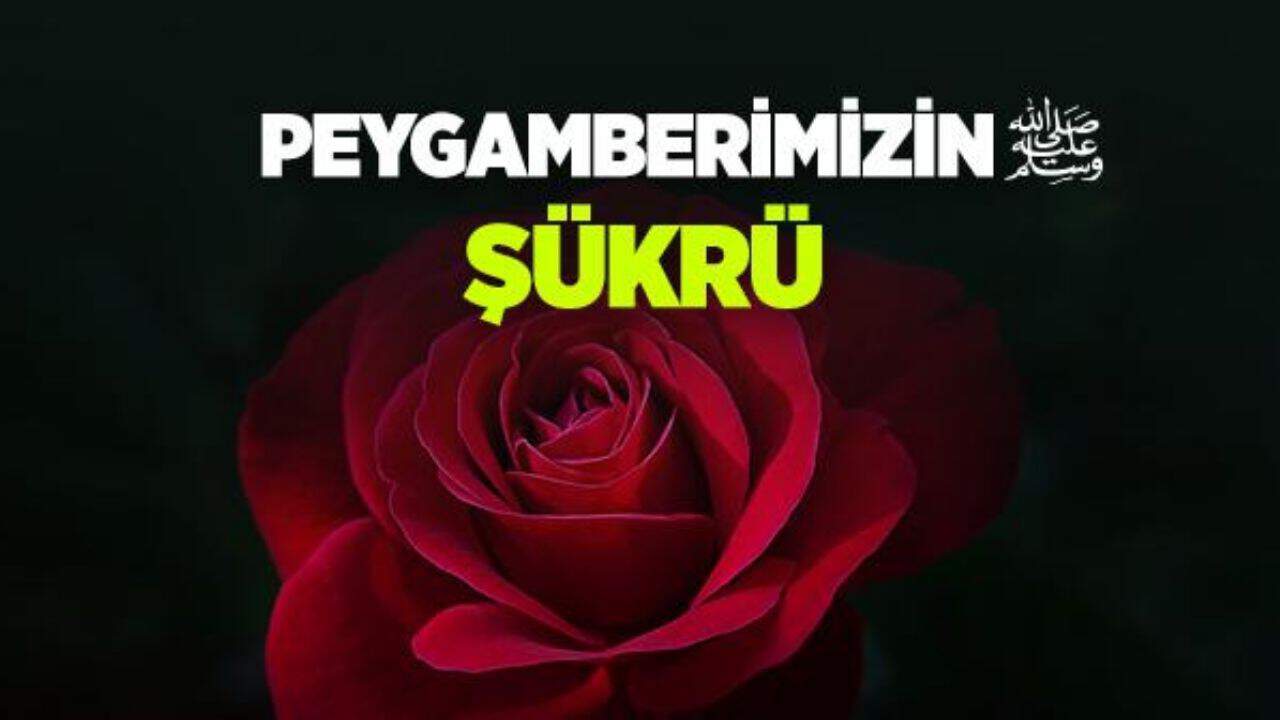 Hz. Muhammed’in Sabır ve Şükür Öğretileri