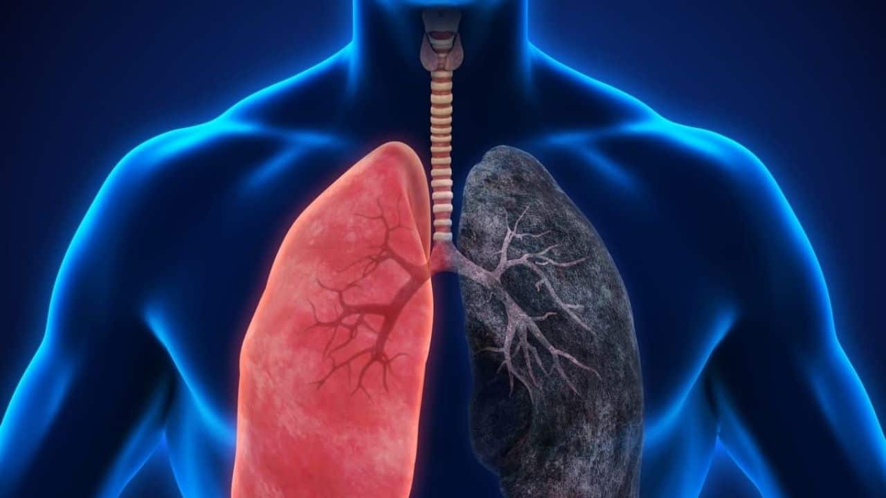KOAH ve İlaçların Etkileşimi Nedir?