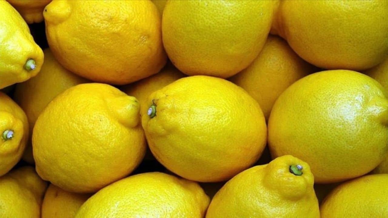 Limonun Fiyatı Üretici ile Market Arasında Uçurum Yarattı: Yüzde 370,4 Fark!