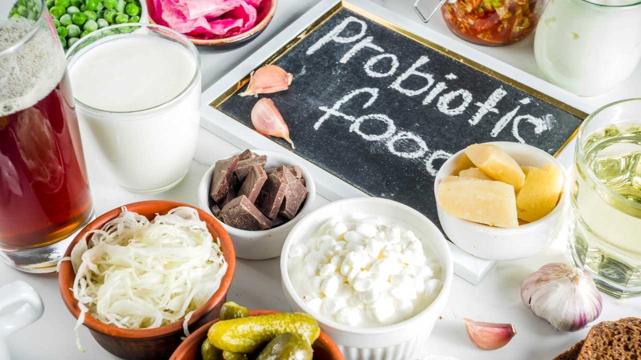 Probiyotik Nedir? Faydaları Nelerdir?