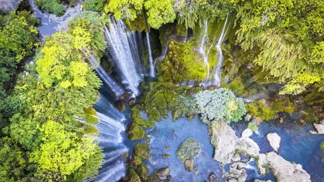 Zengin Flora ve Faunasıyla Büyüleyen En Güzel 7 Doğal Alan