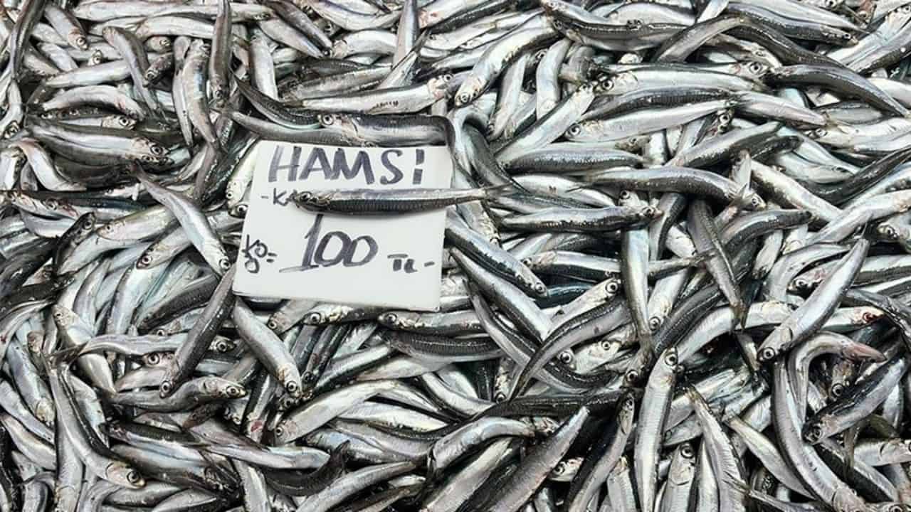 Havalar Soğudu, Balık Tezgahları Şenlendi: Hamsi 100 TL’ye Düştü!