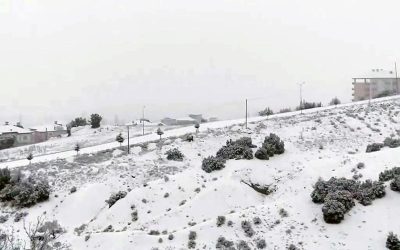 Antalya’da Havanın Aniden Değişmesiyle Beyaz Kapanış: Kar ve Dolu Seraları Vurdu