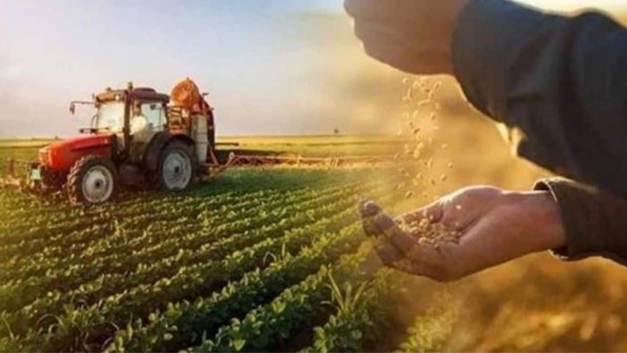 Doğal Afetlerden Zarar Gören Çiftçilere 2,5 Milyon TL Destek: Kütahya Aslanapa’da Tohum Desteği Sağlandı