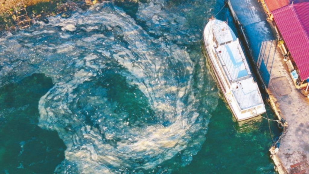 kınalıada'da müsilaj İstilası! marmara denizi'ne tehlike sinyali