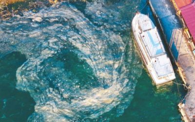 Kınalıada’da Müsilaj İstilası! Marmara Denizi’ne Tehlike Sinyali