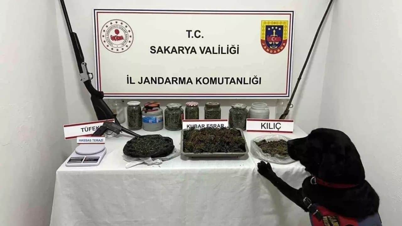 Sakarya’da Uyuşturucu Operasyonu: Kılıç ve Esrar Ele Geçirildi