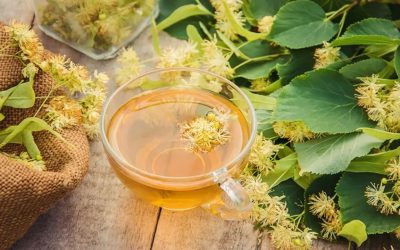 Kekik ve Ihlamur: Sağlığa Faydaları Nelerdir?