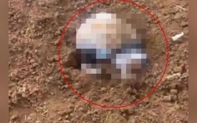 Şırnak’ta 3 Günlük Bebeğin Cansız Bedeni Bulundu