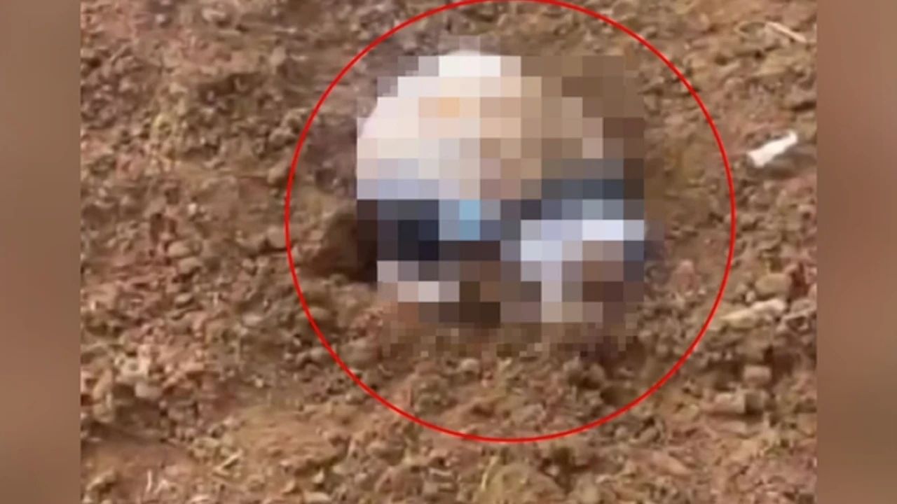 Şırnak'ta 3 Günlük Bebeğin Cansız Bedeni Bulundu