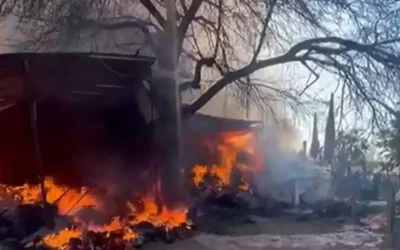 Adana’da Çiftlik Yangınında 70 Hayvan Telef Oldu