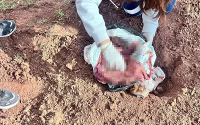 Canavarca bir eylem: Evladını boğarak poşetle atmış