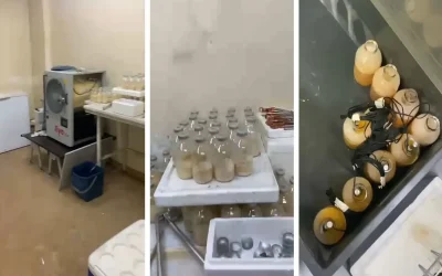 Bodrum Katında Dehşet Veren Gen Tedavisi Deneyleri!