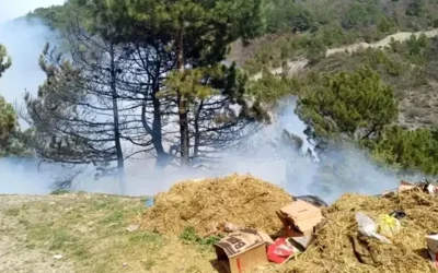 Kütahya’daki Orman Yangını Kontrol Altında
