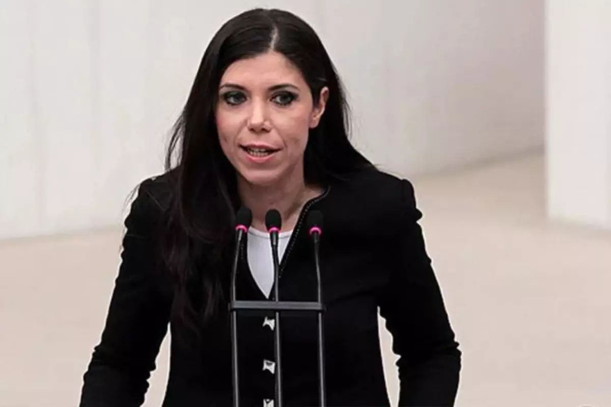 merkez-parti-genel-baskani-pelin-gundes-bakir-a-18433839_8084_amp.jpg