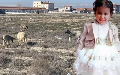 Rana bebeğin ailesinin avukatı, köpek saldırısına ilişkin skandal iddiaları yalanladı
