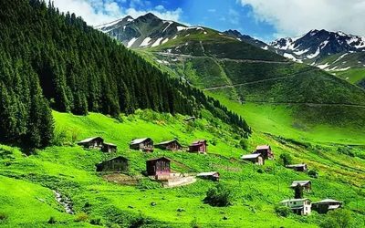 Karadeniz’in Saklı Cenneti: Ayder Yaylası’nın Doğasında Bir Yolculuk