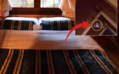 Bu evdeki sakinler dikkat! Gizli kamera, 360 derece görüntü alıyor!