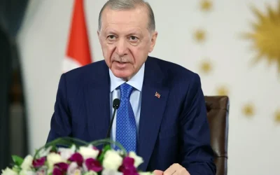 Erdoğan’ın diploması iddiası: Dezenformasyonla Mücadele Merkezi yanıtladı