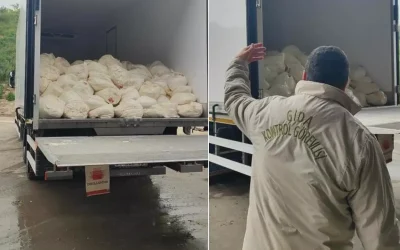 23 ton eski lor peyniri yakalandı