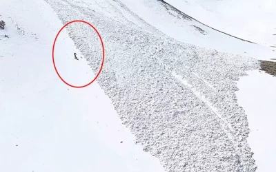 Çığ altında sürüklenen kayakçı kendi imkanlarıyla kurtuldu