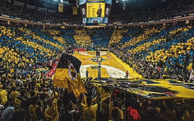 Fenerbahçe taraftarlarına duyuru! Final maçı ücretsiz izlenebilecek.