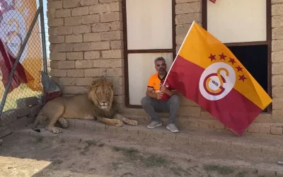 Aslanlarla Kutlanan Galatasaray Şampiyonluğu: Taraftarın İsim Verme Tercihi
