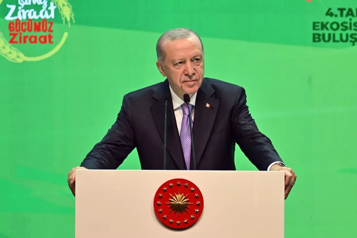 cumhurbaskani-erdogan-mujdemiz-var-yeni-kredi-18797681_2200_amp.jpg