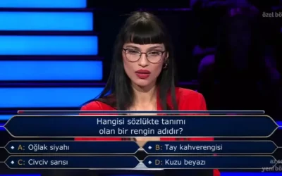 Sözlükte tanımı olan bir renk: Hangisi?