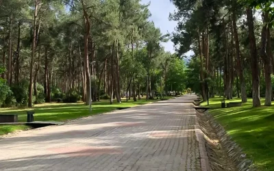 Parkta oturan genç kızları rahatsız eden adam tutuklandı.