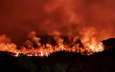Sakarya’daki orman yangını Bilecik’e sıçradı! Köyler boşaltıldı, askerler müdahalede.