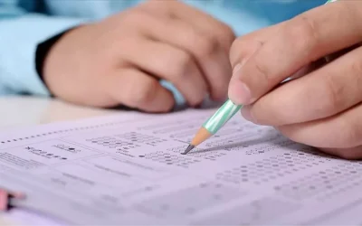 Ön Lisans Programları: Hangi Bölümler 2 Yıllık?