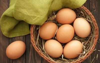 Yumurta İhracatında Kesinti Kaldırıldı: Bakanlık Duyurdu