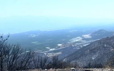 Orman yangınlarından sonra solunum şikayetleriyle hastane başvuruları arttı