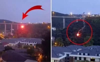 İşaret fişeği: Yangın riski var mı?
