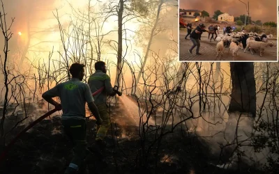 İzmir Orman Yangınlarına Sürekli Müdahale Ediliyor