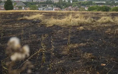 Londra’da büyük yangın: Sanayi sitesi kül oldu!