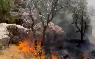Adıyaman’daki Orman Yangını Kontrol Altında