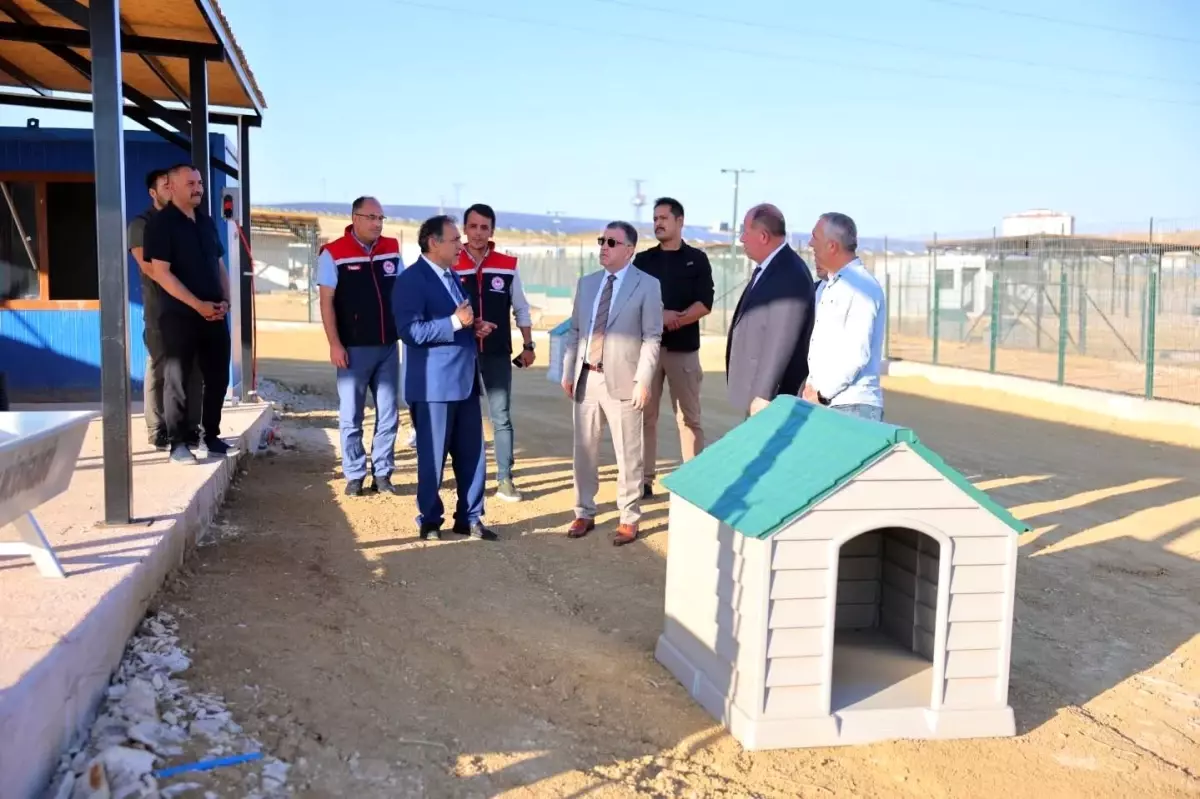 bayburt-ta-hayvan-bakim-evi-ve-dogal-yasam-al-18918937_amp.jpg