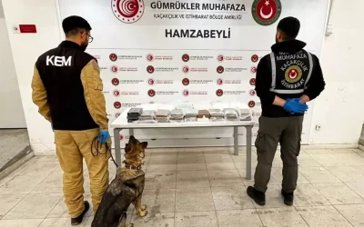 Türkiye’de Uyuşturucu Kaçakçılığında Esrar ve Metamfetamin Artışı
