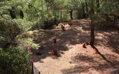 Şehitlerimizi Anma Töreni Gözpınar’da Yapılacak