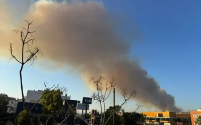 İzmir Buca’da Minibüs Yangını Ormanlık Alana Sıçradı