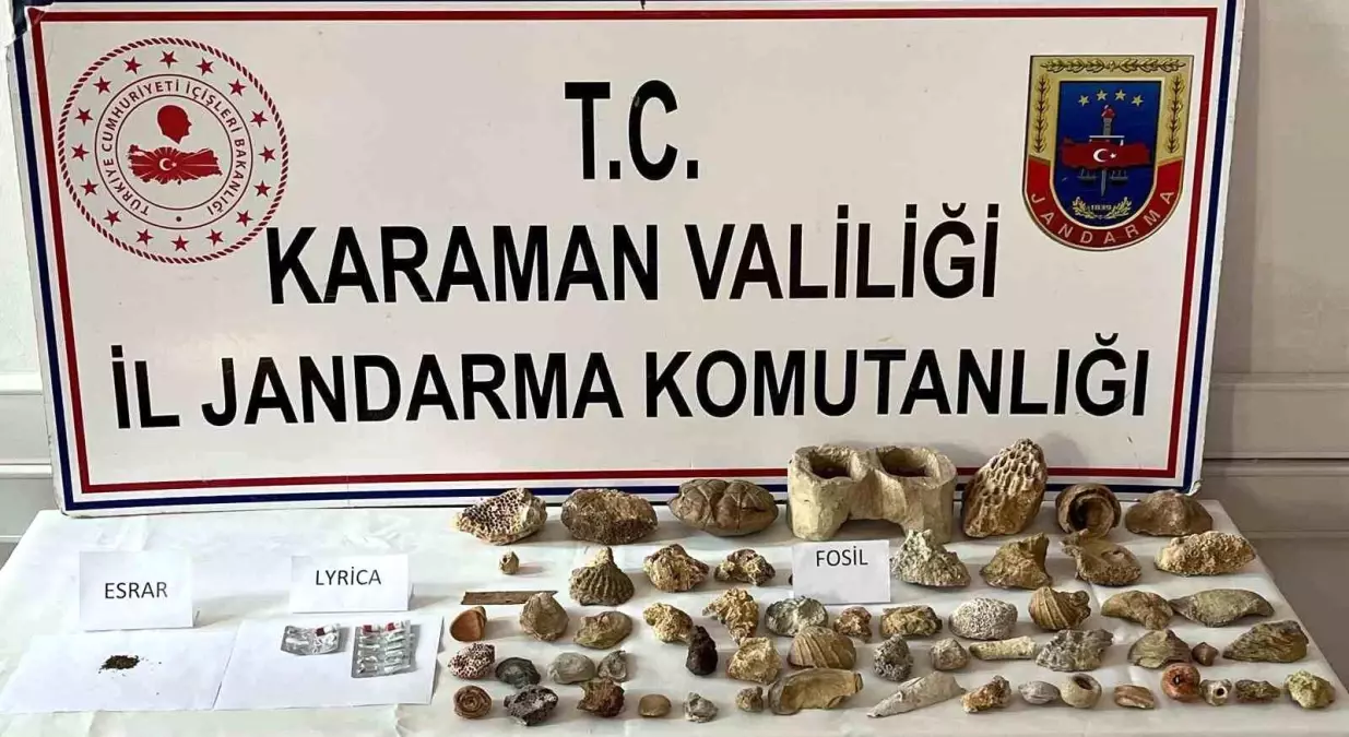 karaman-da-kenevir-ve-63-adet-fosil-ele-gecir-18976049_amp.jpg